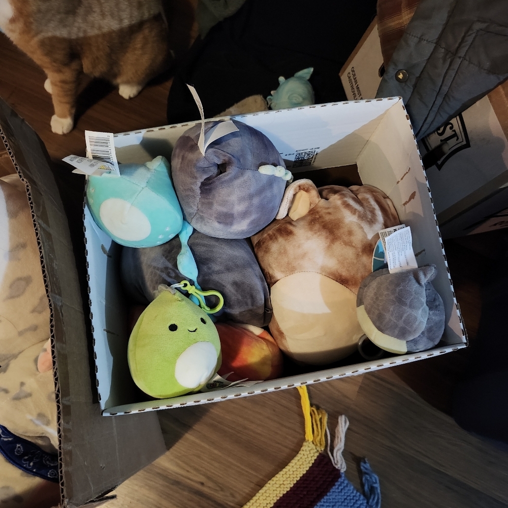 Dino/dragon mystery squishmallow bundle